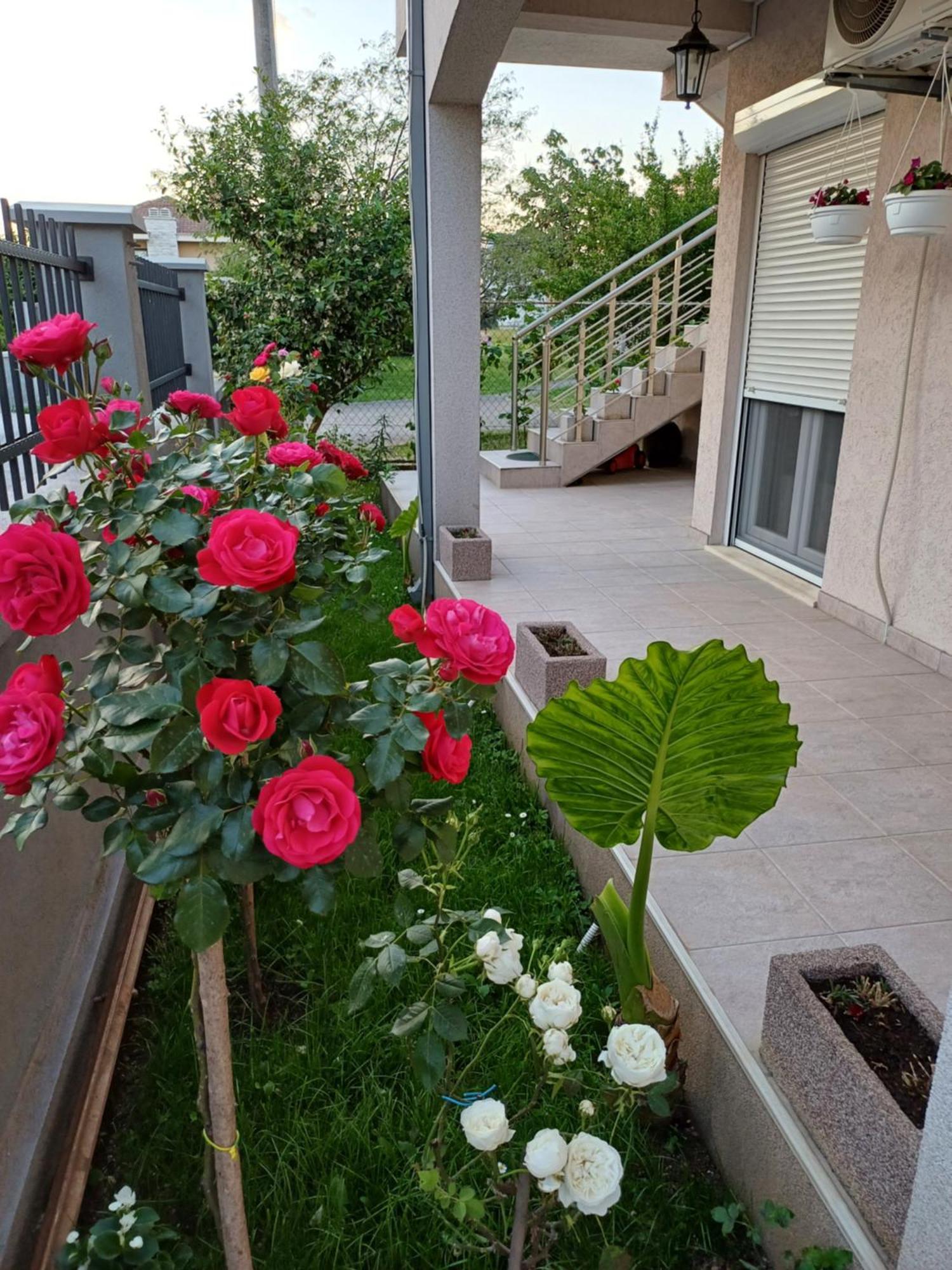 Entire House Floor - 2-Bedroom Cozy & Peaceful Apartment Podgorica Zewnętrze zdjęcie